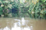 Palm Canal Entrance