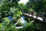 Interpretive Trail