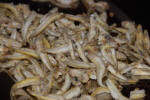 Sardine Snack