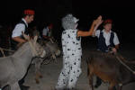 Donkey Races