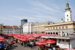 Open Air Dolac Market