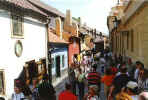 The Golden Lane