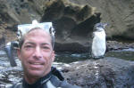 Randy Swims with a Penguin!