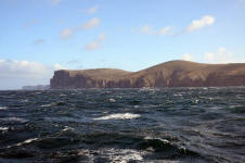 New Island