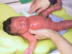 Aiden Sean Zane, son of Rob & Elizabeth