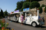 The Little White Train
