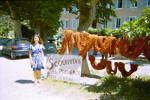 Welcome to La Scoutinerie