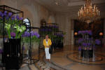 George V Lobby