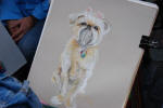 Finished Drawing