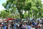 Tree covered Place du Tertre