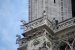Gargoyles