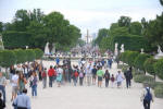 Jardin des Tuileries
