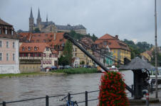 Crane on the Regnitz