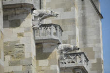 Cathedral Gargoyles