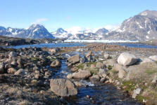 Lovely Greenland