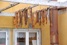 Drying Fish