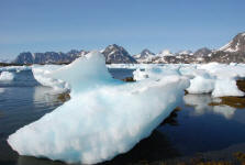 Drift Ice