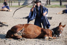 Horsemanship