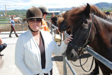 Icelandic Horse