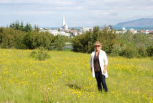 Wildflower Field