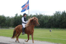 Icelandic Horse Show