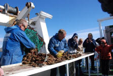 Breidafjordur Bounty