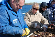 Learning to Shuck Scallops