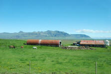 West Iceland Farm