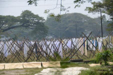 Cochin Laundry