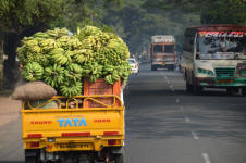 Transport to Market