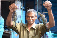 Cochin Market