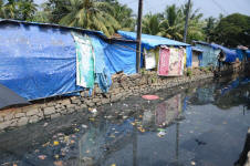 Cochin Contamination