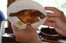 Local Fish