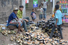 Enterprising Kids