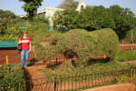 Topiary Garden