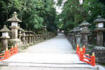 Lantern-lined Path