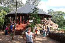 Giraffe Observation Deck