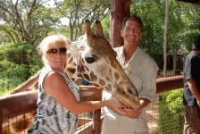 Giraffe Portrait