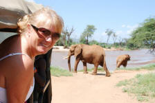 Elephant Crossing