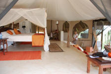 Sasaab Tented Space