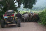 Road Hogs?