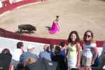 Bullfight!