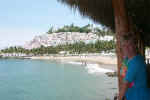 Los Delfines Restaurant