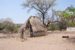 Thatched Hut