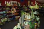 Temuka Pottery
