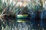 Mirror Lake Sign