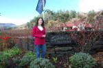 Gibbston Winery