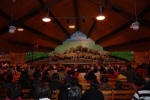 Sheep Show