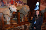 Counting Sheep