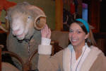 Horny Sheep